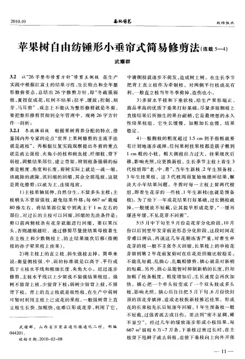 苹果树自由纺锤形小垂帘式简易修剪法(连载5—4)