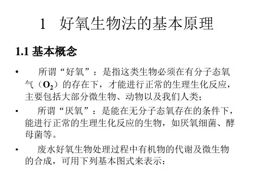 活性污泥法工艺类型自制