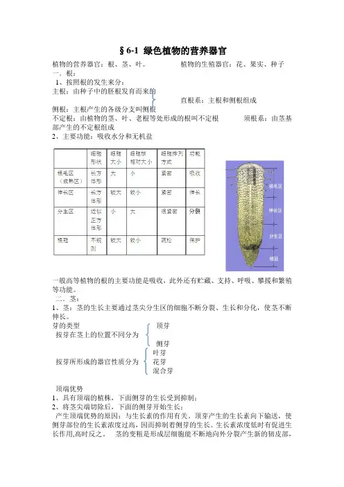 绿色植物的营养器官 2