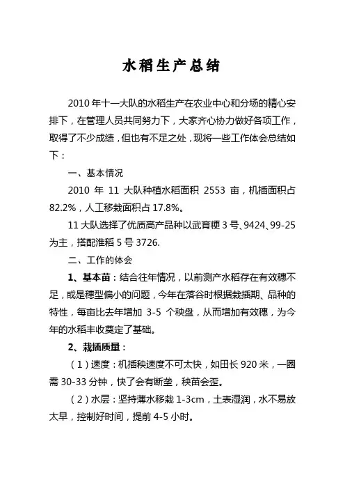 水稻生产总结