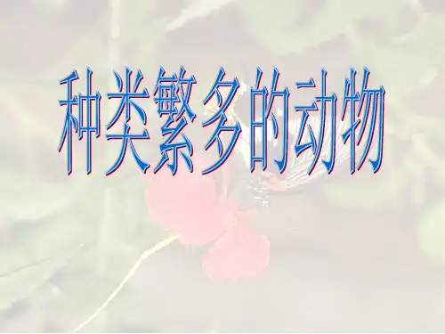 小学科学六年级上册4种类繁多的动物