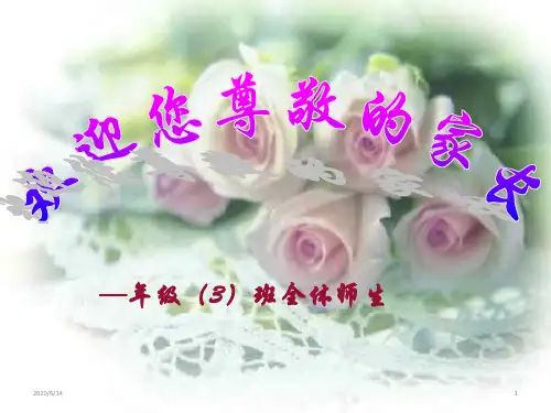 家长会、主题班会课件 (20)