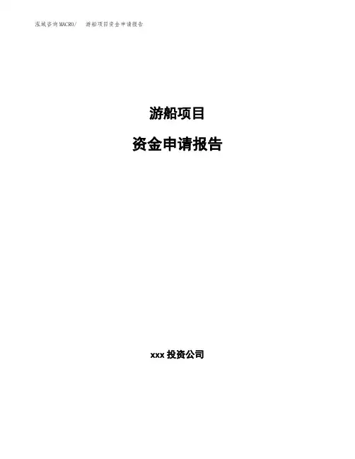 游船项目资金申请报告