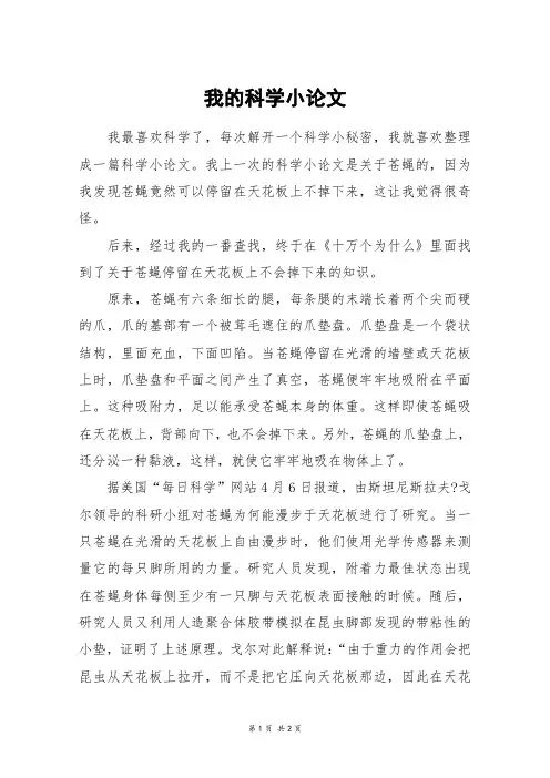 我的科学小论文_五年级作文