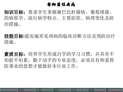 11、禽巴氏杆菌病