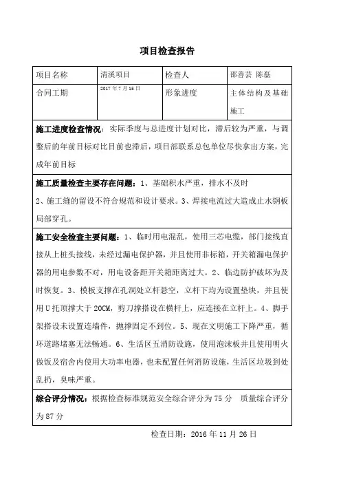 检查项目报告