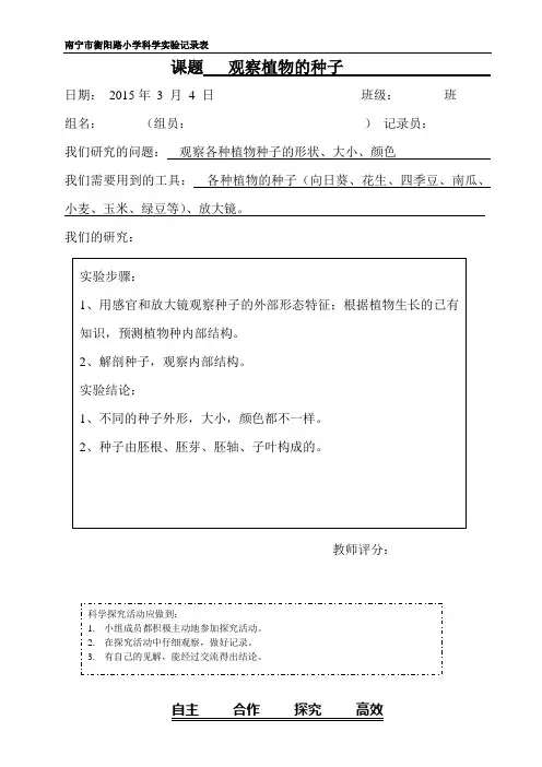 三年级实验记录单