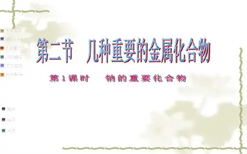 钠的几种重要化合物.pdf
