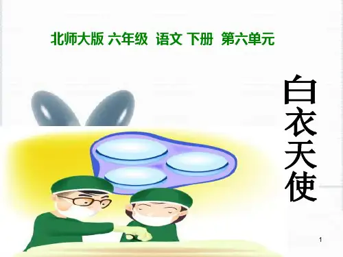 白衣天使ppt-北师大版语文第十二册PPT优选课件