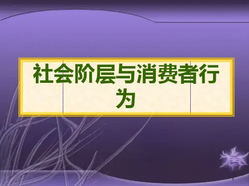 社会阶层与消费者行为.pptx