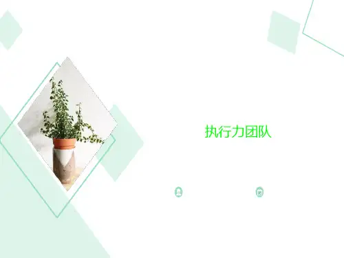 执行力团队