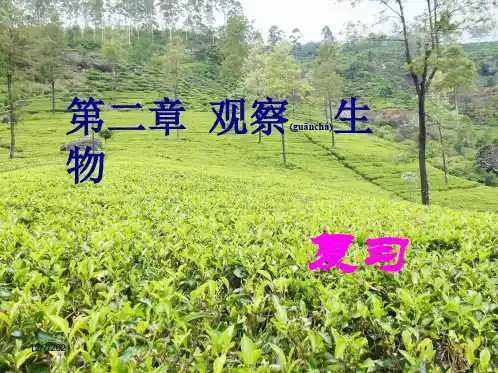 七年级科学上册第二章观察生物复习
