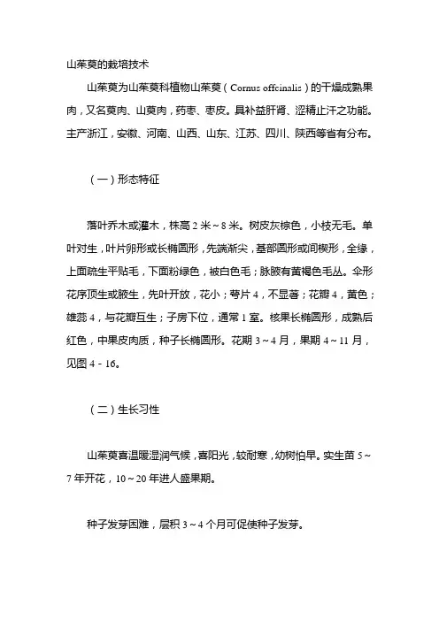 山茱萸的栽培技术