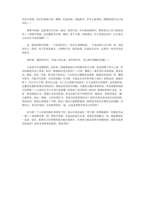 理想中的我