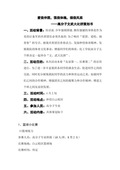 大高分子活动策划书