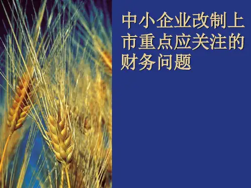 中小企业改制上市重点应关注的财务问题.pptx