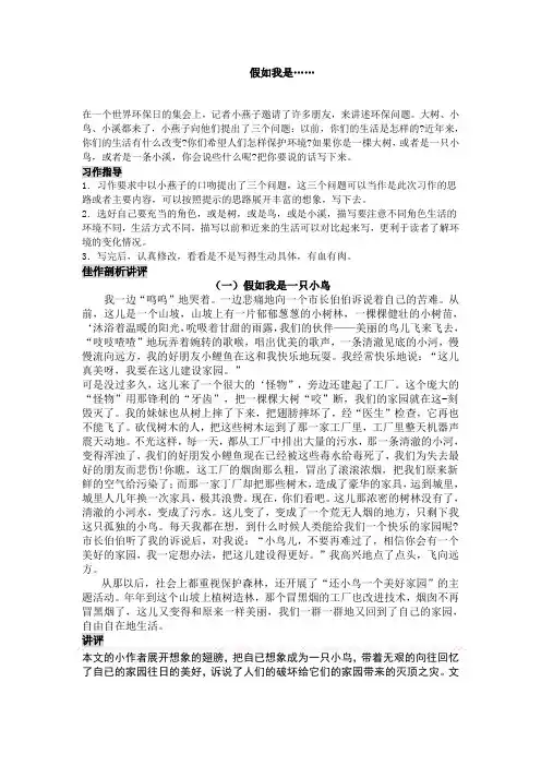 假如我是