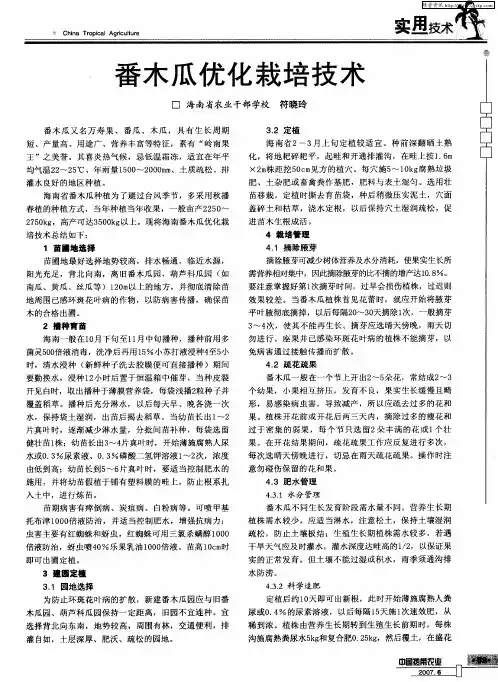 番木瓜优化栽培技术