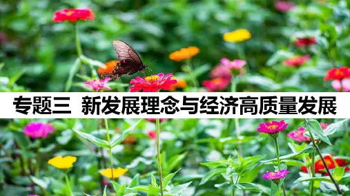 专题三 新发展理念与经济高质量发展
