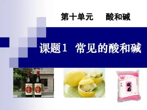《常见的酸和碱》酸和碱PPT课件5