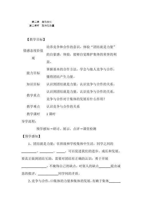 集体的力量教案