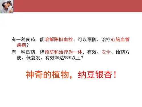 纳豆银杏