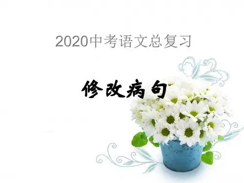 中考语文专题复习课件修改病句专题(PPT}