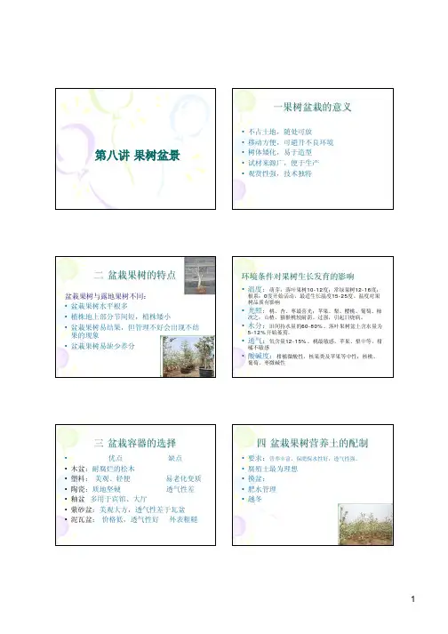第八讲- 盆栽观赏果树  9