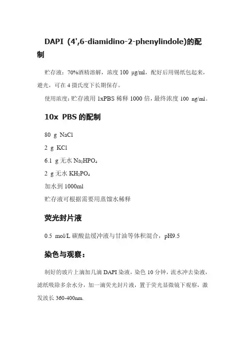 DAPI染色