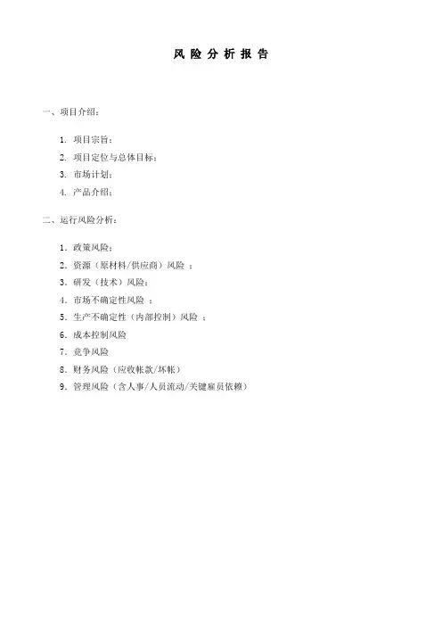 风险分析报告模板