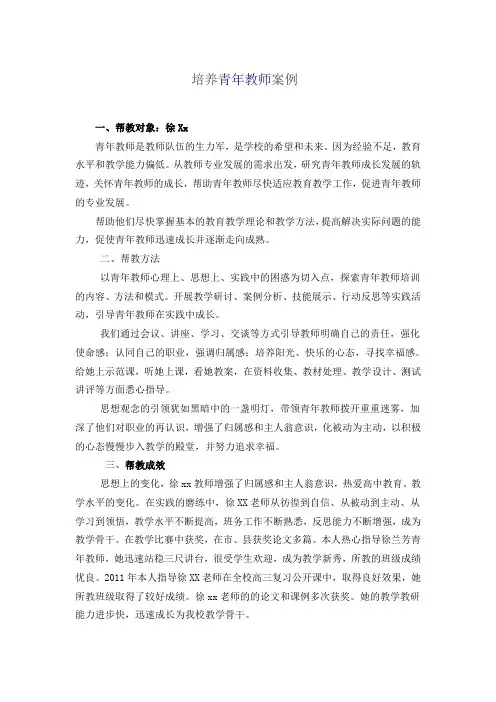 培养青年教师案例)