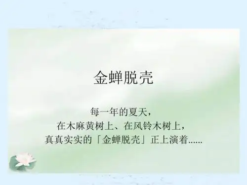 苏教版五年级上册《金蝉脱壳》公开课课件2