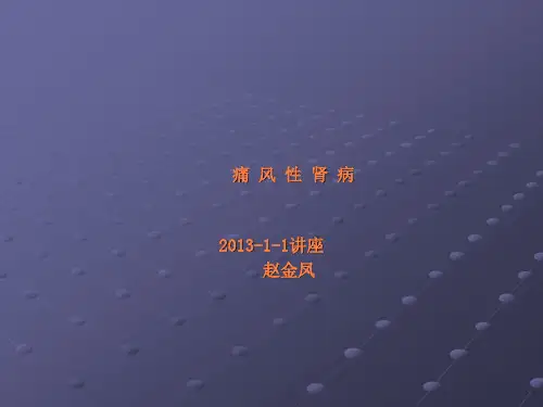痛风性肾病护理查房pptppt课件