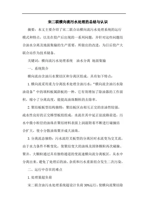 宋二联横向流污水处理总结认识论文