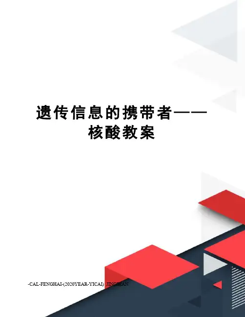 遗传信息的携带者——核酸教案
