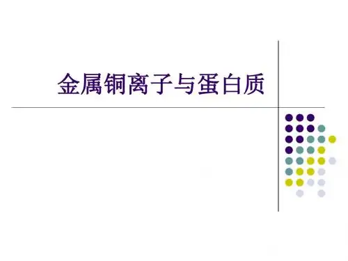 金属铜离子与蛋白