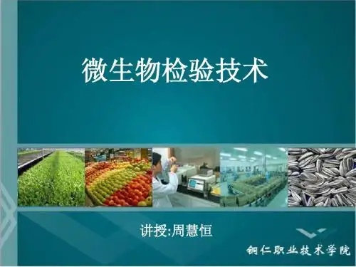 精彩一课