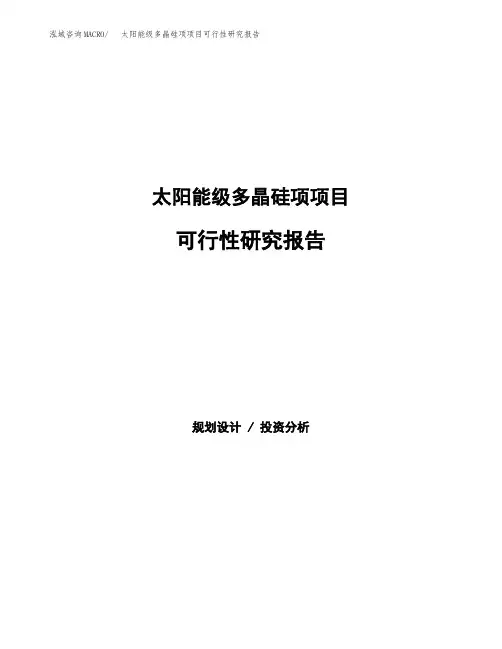 2020年太阳能级多晶硅项项目可行性研究报告