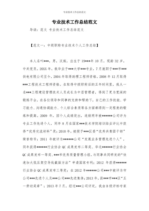 专业技术工作总结范文