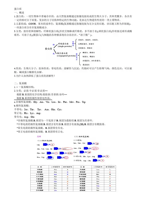 生物化学总结 蛋白质