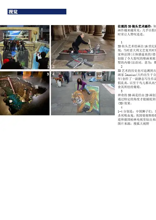 壮观的3D街头艺术画作