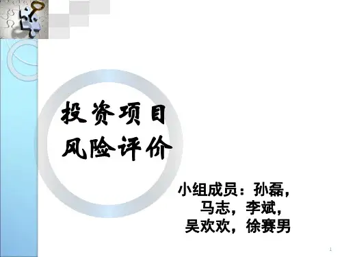 投资项目风险评价剖析