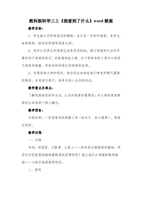教科版科学三上《我看到了什么》word教案