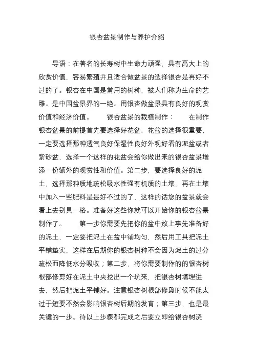 银杏盆景制作与养护介绍
