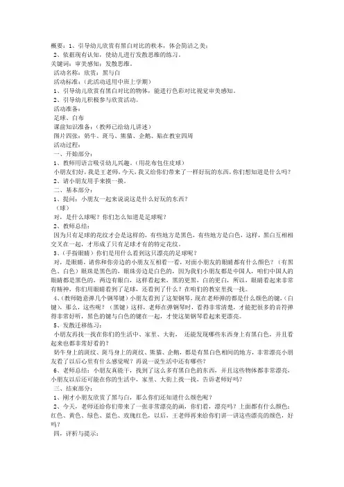 幼儿园美术活动欣赏(黑与白》-教学教案