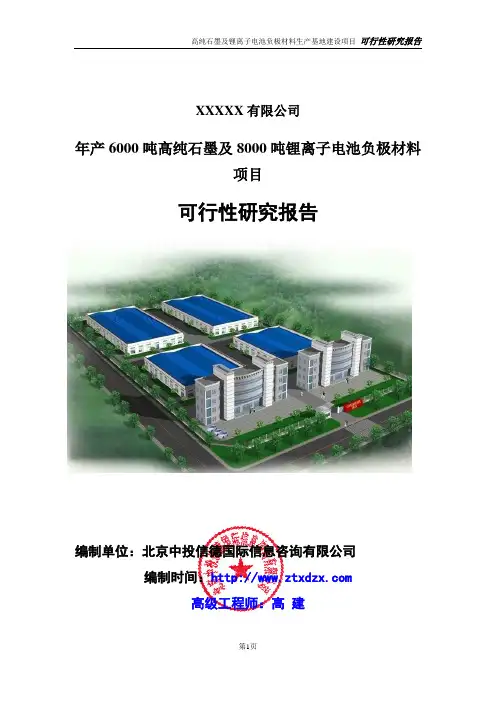 年产6000吨高纯石墨及8000吨锂离子电池负极材料项目可行性研究报告