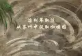 溶剂萃取法从茶叶中提取咖啡因