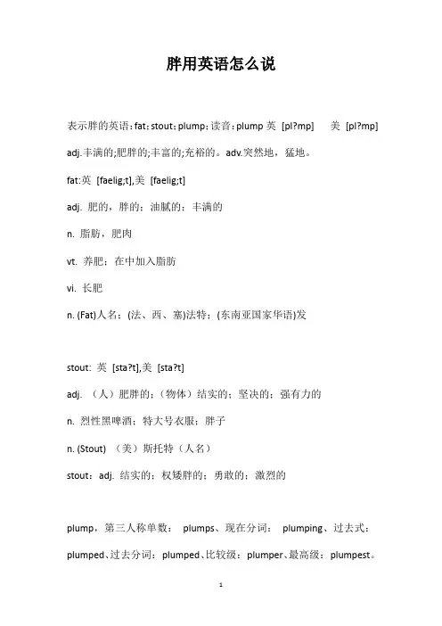 胖用英语怎么说