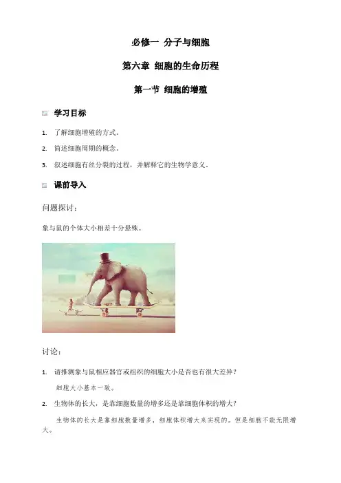 6.1 细胞的增殖讲义【新教材】人教版(2019)高中生物必修一