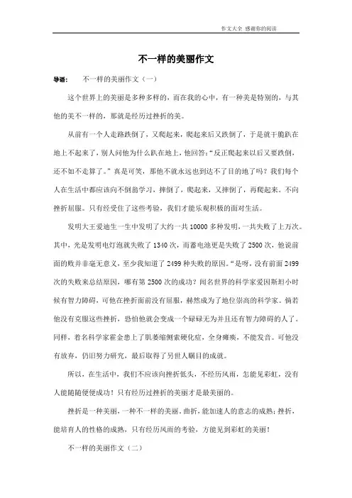 不一样的美丽作文 2